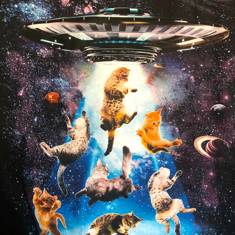 Men’s XL T: UFO abducted Cats in Space